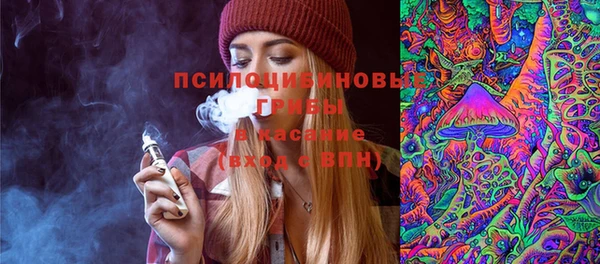 прущая мука Алзамай