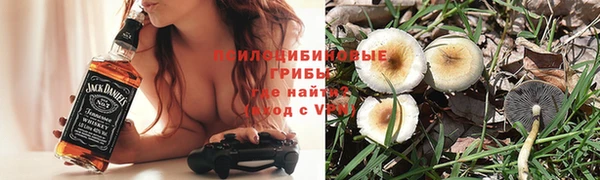 ешки Алексеевка
