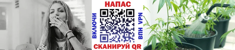 Купить закладки  Кола  Бошки Шишки Amnesia 